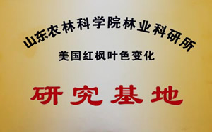 山东农林科学院林业科研所美国红枫叶色变化研究基地