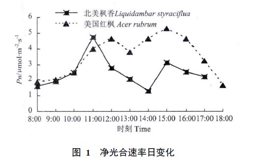 图 1 净光合速率日变化