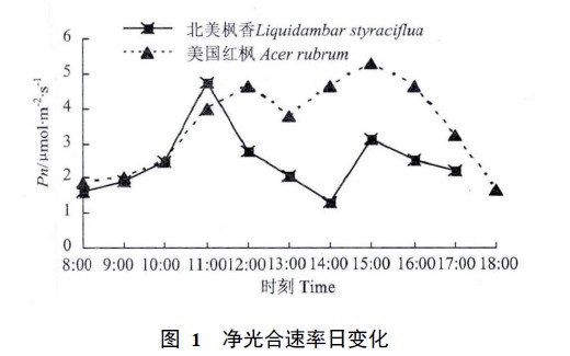 图 1 净光合速率日变化