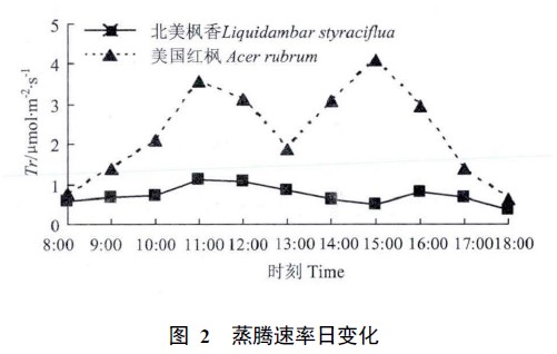 图 2 蒸腾速率日变化